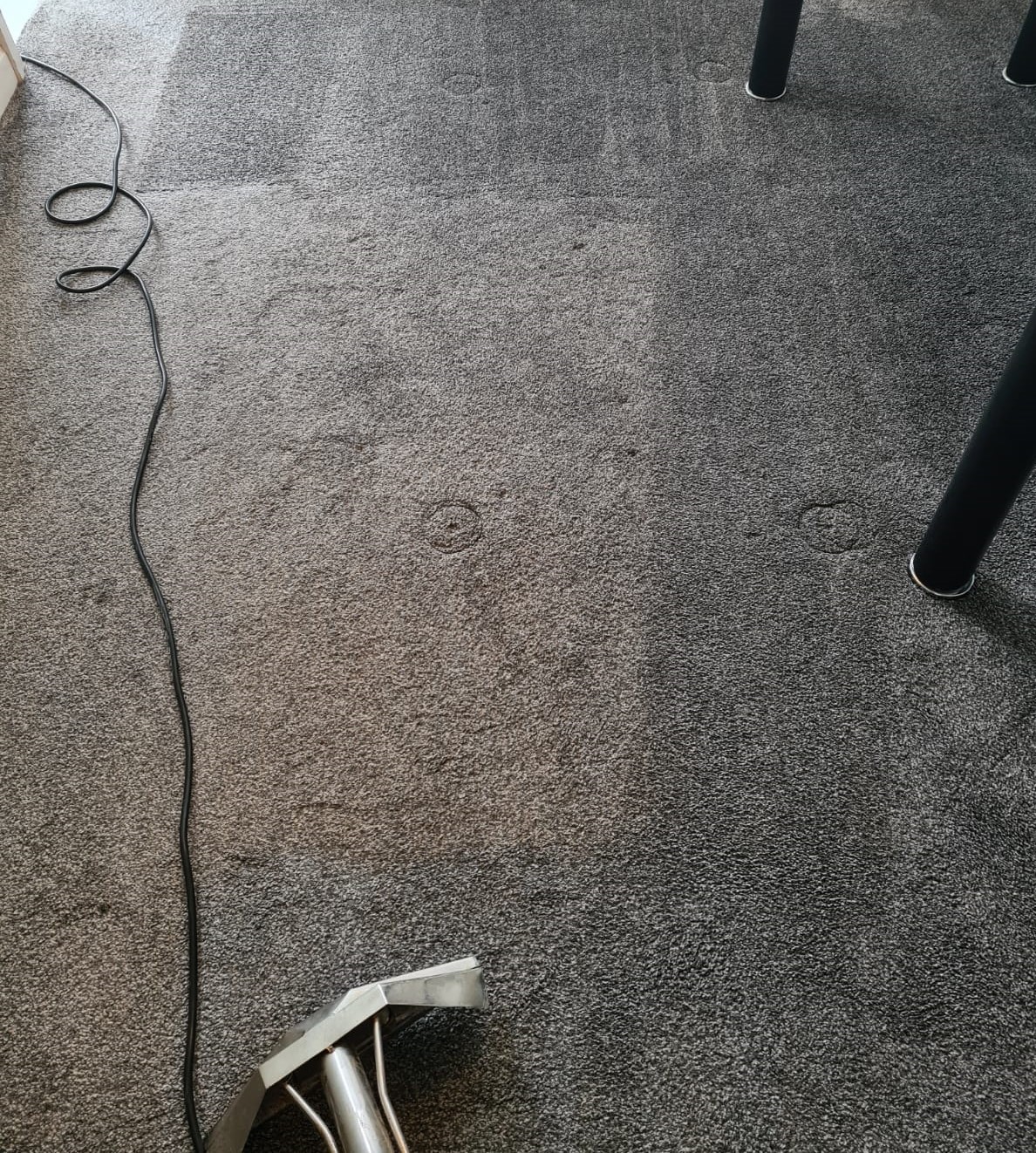 carpet cleaning morley