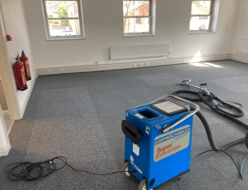 The Ultimate Guide to Carpet Cleaning: Finding the Perfect Machine for Every Job