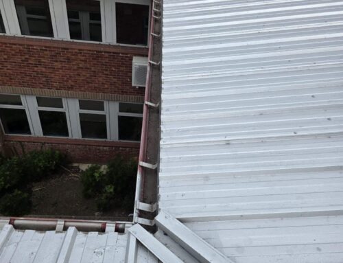🧼 Bright Minds Need Bright Windows: The Importance of Window Cleaning in Schools